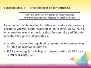 Funciones de CRF – Factor liberador de corticotropina
La ansiedad, la depresión, la disfunción motora del colon, y
anestesia visceral, están involucrados en la señal vía CRF/CRF1
en el cerebro, mientras que la activación central y periférica del
receptor CRF2 puede inhibir esta vía
 La electroacupuntura regula eficazmente las concentraciones
de CRF hipotalámico de ratas SII.
 TEAS puede regular a la baja la hiperexpresión de CRF en el
HPVN de las ratas SII.
Induce la defecación repetida en ratas y ratones
Altera las percepciones rectales en seres humanos
21/01/2015 10Dr. Jorge Arturo Santana IPN- COMAH
 