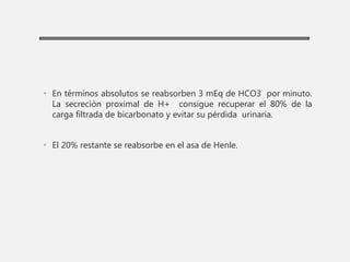 • En términos absolutos se reabsorben 3 mEq de HCO3 por minuto.
La secreción proximal de H+ consigue recuperar el 80% de la
carga filtrada de bicarbonato y evitar su pérdida urinaria.
• El 20% restante se reabsorbe en el asa de Henle.
 