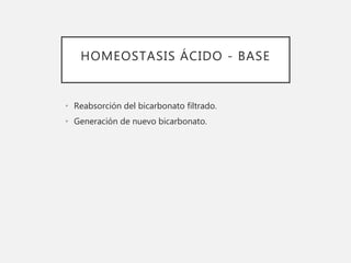 HOMEOSTASIS ÁCIDO - BASE
• Reabsorción del bicarbonato filtrado.
• Generación de nuevo bicarbonato.
 