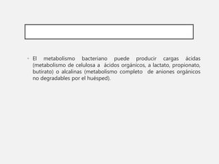 • El metabolismo bacteriano puede producir cargas ácidas
(metabolismo de celulosa a ácidos orgánicos, a lactato, propionato,
butirato) o alcalinas (metabolismo completo de aniones orgánicos
no degradables por el huésped).
 