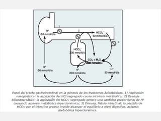 Mecanismos de acidificacion renal