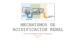 MECANISMOS DE
ACIDIFICACION RENAL
ZAMITIZ R1NF
UMAE 14
 