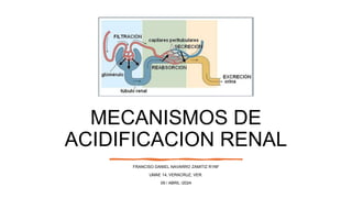 MECANISMOS DE
ACIDIFICACION RENAL
FRANCISO DANIEL NAVARRO ZAMITIZ R1NF
UMAE 14, VERACRUZ, VER.
09 / ABRIL /2024
 