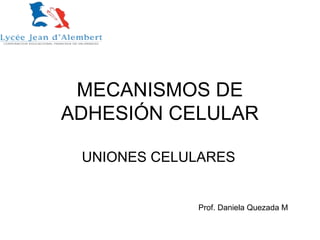 MECANISMOS DE
ADHESIÓN CELULAR
UNIONES CELULARES
Prof. Daniela Quezada M
 