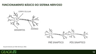 12
FUNCIONAMENTO BÁSICO DO SISTEMA NERVOSO
Esquematizado por Félix Henrique, 2022.
 