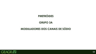 19
PIRETRÓIDES
GRUPO 3A
MODULADORES DOS CANAIS DE SÓDIO
 