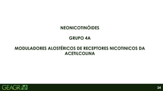24
NEONICOTINÓIDES
GRUPO 4A
MODULADORES ALOSTÉRICOS DE RECEPTORES NICOTINICOS DA
ACETILCOLINA
 
