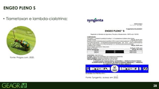 28
• Tiametoxan e lambda-cialotrina;
ENGEO PLENO S
Fonte: Syngenta, acesso em 2022.
Fonte: Pragas.com, 2020.
 