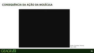 36
CONSEQUÊNCIA DA AÇÃO DA MOLÉCULA
Fonte: Youtube, Thomaz
Tuler, 2020.
 