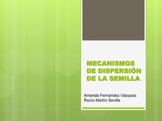 MECANISMOS
DE DISPERSIÓN
DE LA SEMILLA
Amanda Fernández Vázquez
Rocío Martín Sevilla
 