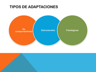 TIPOS DE ADAPTACIONES




       De
                   Estructurales   Fisiológicas
  comportamiento
 