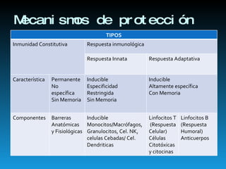 Mecanismos de protección Respuesta innata Piel, tejidos mucosos Complemento Células fagociticas Células NK Poco específica Diversidad limitada No memoria Respuesta adaptativa Linfocitos Anticuerpos Especifica para antígenos microbianos y no microbianos Diversidad amplia Memoria TIPOS Inmunidad Constitutiva Respuesta inmunológica Respuesta Innata Respuesta Adaptativa Característica Permanente No específica Sin Memoria Inducible Especificidad Restringida Sin Memoria Inducible Altamente específica Con Memoria Componentes Barreras Anatómicas y Fisiológicas Inducible Monocitos/Macrófagos, Granulocitos, Cel. NK, celulas Cebadas/ Cel. Dendriticas Linfocitos T (Respuesta Celular) Células Citotóxicas y citocinas Linfocitos B (Respuesta Humoral) Anticuerpos 