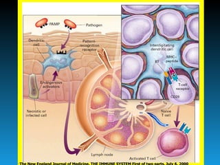 The New England Journal of Medicine. THE IMMUNE SYSTEM First of two parts. July 6, 2000 
