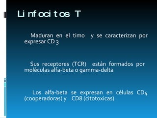 Linfocitos T  Maduran en el timo  y se caracterizan por expresar CD 3  Sus receptores (TCR)  están formados por  moléculas alfa-beta o gamma-delta  Los alfa-beta se expresan en células CD4 (cooperadoras) y  CD8 (citotoxicas) 