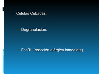 Células Cebadas: Degranulación.  Fc є RI  (reacción alérgica inmediata). 