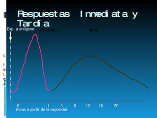 Respuestas  Inmediata y Tardía Horas a partir de la exposición c  l íni ca 0  1  4  8  12  16  20 Inmediata  tardía Exp  a antígeno 