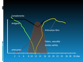 2  4  6  8  10  12  14  16  18  20  22  24  26  28  30 días  Complemento Antígeno anticuerpo Anticuerpo libre Fiebre, vasculitis Artritis nefritis 