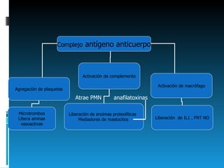 Atrae PMN  anafilatoxinas Complejo  antígeno anticuerpo Agregación de plaquetas Activación de complemento Activación de macrófago Liberación  de IL1 , FNT NO Liberación de enzimas proteolíticas  Mediadores de mastocitos  Microtrombos Libera aminas vasoactivas 