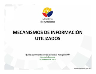 MECANISMOS DE INFORMACIÓN
UTILIZADOS

Quinta reunión ordinaria de la Mesa de Trabajo REDD+
Consuelo Espinosa
30 de enero de 2014.

 