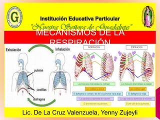 MECANISMOS DE LA
RESPIRACIÓN
Lic. De La Cruz Valenzuela, Yenny Zujeyli
 