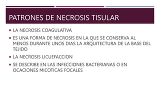 PATRONES DE NECROSIS TISULAR
 LA NECROSIS COAGULATIVA
 ES UNA FORMA DE NECROSIS EN LA QUE SE CONSERVA AL
MENOS DURANTE UNOS DIAS LA ARQUITECTURA DE LA BASE DEL
TEJIDO
 LA NECROSIS LICUEFACCION
 SE DESCRIBE EN LAS INFECCIONES BACTERIANAS O EN
OCACIONES MICOTICAS FOCALES
 