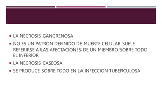  LA NECROSIS GANGRENOSA
 NO ES UN PATRON DEFINIDO DE MUERTE CELULAR SUELE
REFERIRSE A LAS AFECTACIONES DE UN MIEMBRO SOBRE TODO
EL INFERIOR
 LA NECROSIS CASEOSA
 SE PRODUCE SOBRE TODO EN LA INFECCION TUBERCULOSA
 