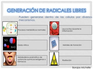 GENERACIÓN DE RADICALES LIBRES
     Pueden generarse dentro de las células por diversos
     mecanismos.


                                    Leucocitos durante la
    Procesos metabólicos normales
                                    inflamación




    Oxido nítrico                   Metales de transición




   Metabolismo enzimático de
   sustancias químicas exógenas o   Radiación
   fármacos


                                                Barajas Michelle
 
