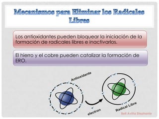 Los antioxidantes pueden bloquear la iniciación de la
formación de radicales libres e inactivarlos.

El hierro y el cobre pueden catalizar la formación de
ERO.




                                             Bell Aviña Stephanie
 