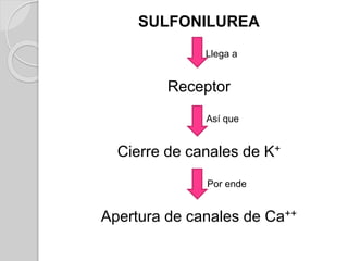 SULFONILUREA
Llega a
Receptor
Así que
Cierre de canales de K+
Por ende
Apertura de canales de Ca++
 