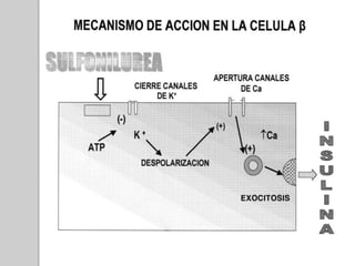 Mecanismos de los hipoglucemiantes