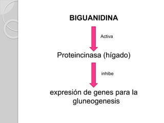 BIGUANIDINA
Activa
Proteincinasa (hígado)
inhibe
expresión de genes para la
gluneogenesis
 