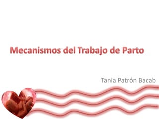 Tania Patrón Bacab

 