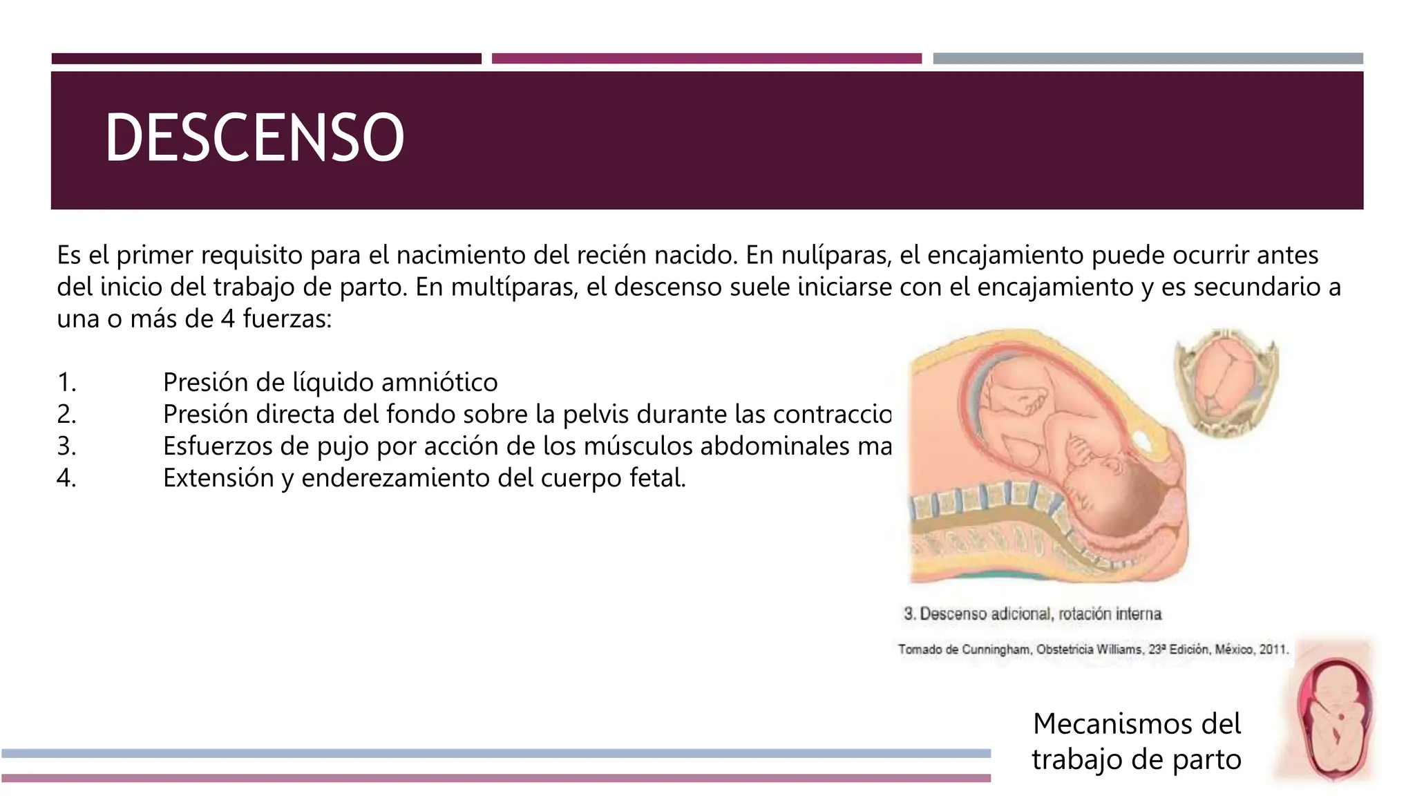 Mecanismos del trabajo de parto y atención del parto normal.pptx