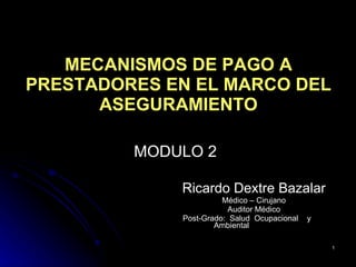 MECANISMOS DE PAGO A PRESTADORES EN EL MARCO DEL ASEGURAMIENTO ,[object Object],[object Object],[object Object],[object Object],MODULO 2 