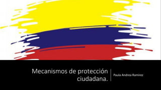 Mecanismos de protección
ciudadana.
Paula Andrea Ramirez
 