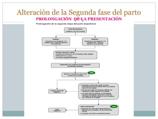 Alteración de la Segunda fase del parto
PROLONGACIÓN DE LA PRESENTACIÓN
 