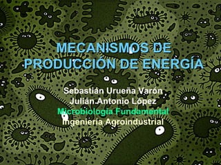 MECANISMOS DE
PRODUCCIÓN DE ENERGÍA
     Sebastián Urueña Varón
      Julián Antonio López
   Microbiología Fundamental
    Ingeniería Agroindustrial
 