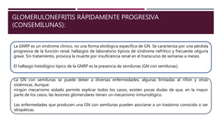 GLOMERULONEFRITIS RÁPIDAMENTE PROGRESIVA
(CONSEMILUNAS):
La GNRP es un síndrome clínico, no una forma etiológica específica de GN. Se caracteriza por una pérdida
progresiva de la función renal, hallazgos de laboratorio típicos de síndrome nefrítico y frecuente oliguria
grave. Sin tratamiento, provoca la muerte por insuficiencia renal en el transcurso de semanas a meses.
El hallazgo histológico típico de la GNRP es la presencia de semilunas (GN con semilunas).
La GN con semilunas se puede deber a diversas enfermedades, algunas limitadas al riñón y otras
sistémicas. Aunque
ningún mecanismo aislado permite explicar todos los casos, existen pocas dudas de que, en la mayor
parte de los casos, las lesiones glomerulares tienen un mecanismo inmunológico.
Las enfermedades que producen una GN con semilunas pueden asociarse a un trastorno conocido o ser
idiopáticas.
 
