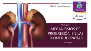 MECANISMOS DE
PROGRESIÓN EN LAS
GLOMERULOPATÍAS
Patología II
Dr. Gallegos
Dafne A. Hinojos Guerrero
 