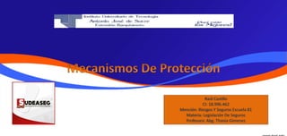 Raúl Castillo
CI: 18.996.462
Mención: Riesgos Y Seguros Escuela 81
Materia: Legislación De Seguros
Profesora: Abg. Thania Gimenez
 