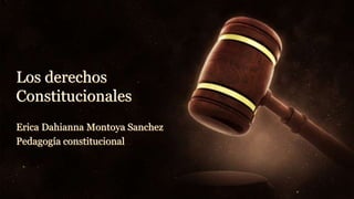 Los derechos
Constitucionales
Erica Dahianna Montoya Sanchez
Pedagogía constitucional
 