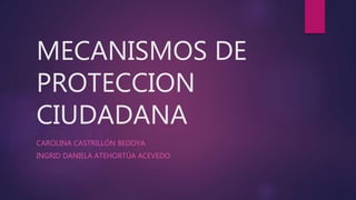 MECANISMOS DE
PROTECCION
CIUDADANA
CAROLINA CASTRILLÓN BEDOYA
INGRID DANIELA ATEHORTÚA ACEVEDO
 