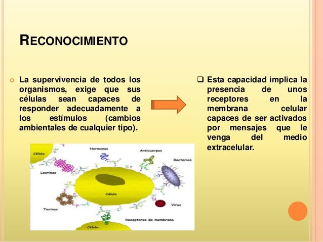 Reconocimiento Y Comunicacion De La Membrana Celular