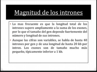 Mecanismos de regulación post transcripcional | PPTX