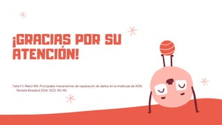 ¡GRACIAS POR SU
ATENCIÓN!
Tafurt Y, Marin MA. Principales mecanismos de reparación de daños en la molécula de ADN.
Revista Biosalud 2014; 13(2): 95-110.
 