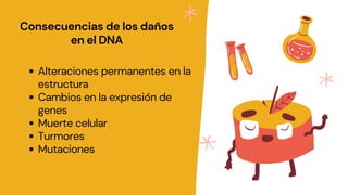 Consecuencias de los daños
en el DNA
Alteraciones permanentes en la
estructura
Cambios en la expresión de
genes
Muerte celular
Turmores
Mutaciones
 