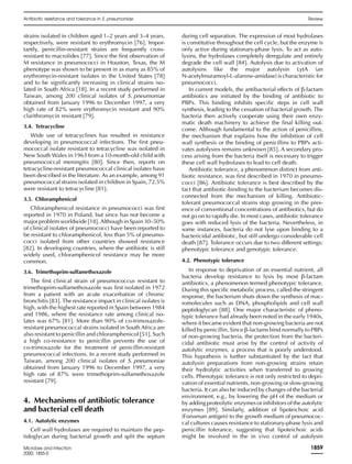 strains isolated in children aged 1–2 years and 3–4 years,
respectively, were resistant to erythromycin [76]. Impor-
tantly, penicillin-resistant strains are frequently cross-
resistant to macrolides [77]. Since the ﬁrst observation of
M resistance in pneumococci in Houston, Texas, the M
phenotype was shown to be present in as many as 85% of
erythromycin-resistant isolates in the United States [78]
and to be signiﬁcantly increasing in clinical strains iso-
lated in South Africa [18]. In a recent study performed in
Taiwan, among 200 clinical isolates of S. pneumoniae
obtained from January 1996 to December 1997, a very
high rate of 82% were erythromycin resistant and 90%
clarithromycin resistant [79].
3.4. Tetracycline
Wide use of tetracyclines has resulted in resistance
developing in pneumococcal infections. The ﬁrst pneu-
mococcal isolate resistant to tetracycline was isolated in
New South Wales in 1963 from a 10-month-old child with
pneumococcal meningitis [80]. Since then, reports on
tetracycline-resistant pneumococcal clinical isolates have
been described in the literature. As an example, among 91
pneumococcal strains isolated in children in Spain, 72.5%
were resistant to tetracycline [81].
3.5. Chloramphenicol
Chloramphenicol resistance in pneumococci was ﬁrst
reported in 1970 in Poland, but since has not become a
major problem worldwide [18]. Although in Spain 30–50%
of clinical isolates of pneumococci have been reported to
be resistant to chloramphenicol, less than 5% of pneumo-
cocci isolated from other countries showed resistance
[82]. In developing countries, where the antibiotic is still
widely used, chloramphenicol resistance may be more
common.
3.6. Trimethoprim-sulfamethoxazole
The ﬁrst clinical strain of pneumococcus resistant to
trimethoprim-sulfamethoxazole was ﬁrst isolated in 1972
from a patient with an acute exacerbation of chronic
bronchitis [83]. The resistance impact in clinical isolates is
high, with the highest rate reported in Spain between 1984
and 1986, where the resistance rate among clinical iso-
lates was 67% [81]. More than 90% of co-trimoxazole-
resistant pneumococcal strains isolated in South Africa are
also resistant to penicillin and chloramphenicol [51]. Such
a high co-resistance to penicillin prevents the use of
co-trimoxazole for the treatment of penicillin-resistant
pneumococcal infections. In a recent study performed in
Taiwan, among 200 clinical isolates of S. pneumoniae
obtained from January 1996 to December 1997, a very
high rate of 87% were trimethoprim-sulfamethoxazole
resistant [79].
4. Mechanisms of antibiotic tolerance
and bacterial cell death
4.1. Autolytic enzymes
Cell wall hydrolases are required to maintain the pep-
tidoglycan during bacterial growth and split the septum
during cell separation. The expression of most hydrolases
is constitutive throughout the cell cycle, but the enzyme is
only active during stationary-phase lysis. To act as auto-
lysins, the hydrolases completely deregulate and entirely
degrade the cell wall [84]. Autolysis due to activation of
autolysins like the major autolysin LytA (an
N-acetylmuramoyl-L-alanine-amidase) is characteristic for
pneumococci.
In current models, the antibacterial effects of β-lactam
antibiotics are initiated by the binding of antibiotic to
PBPs. This binding inhibits speciﬁc steps in cell wall
synthesis, leading to the cessation of bacterial growth. The
bacteria then actively cooperate using their own enzy-
matic death machinery to achieve the ﬁnal killing out-
come. Although fundamental to the action of penicillins,
the mechanism that explains how the inhibition of cell
wall synthesis or the binding of penicillins to PBPs acti-
vates autolysins remains unknown [85]. A secondary pro-
cess arising from the bacteria itself is necessary to trigger
these cell wall hydrolases to lead to cell death.
Antibiotic tolerance, a phenomenon distinct from anti-
biotic resistance, was ﬁrst described in 1970 in pneumo-
cocci [86]. Antibiotic tolerance is best described by the
fact that antibiotic-binding to the bacterium becomes dis-
connected from the mechanism of killing. Antibiotic-
tolerant pneumococcal strains stop growing in the pres-
ence of conventional concentrations of antibiotics, but do
not go on to rapidly die. In most cases, antibiotic tolerance
goes with reduced lysis of the bacteria. Nevertheless, in
some instances, bacteria do not lyse upon binding to a
bactericidal antibiotic, but still undergo considerable cell
death [87]. Tolerance occurs due to two different settings:
phenotypic tolerance and genotypic tolerance.
4.2. Phenotypic tolerance
In response to deprivation of an essential nutrient, all
bacteria develop resistance to lysis by most β-lactam
antibiotics, a phenomenon termed phenotypic tolerance.
During this speciﬁc metabolic process, called the stringent
response, the bacterium shuts down the synthesis of mac-
romolecules such as DNA, phospholipids and cell wall
peptidoglycan [88]. One major characteristic of pheno-
typic tolerance had already been noted in the early 1940s,
where it became evident that non-growing bacteria are not
killed by penicillin. Since β-lactams bind normally to PBPs
of non-growing bacteria, the protection from the bacteri-
cidal antibiotic must arise by the control of activity of
autolytic enzymes, a process that is poorly understood.
This hypothesis is further substantiated by the fact that
autolysin preparations from non-growing strains retain
their hydrolytic activities when transferred to growing
cells. Phenotypic tolerance is not only restricted to depri-
vation of essential nutrients, non-growing or slow-growing
bacteria. It can also be induced by changes of the bacterial
environment, e.g., by lowering the pH of the medium or
by adding proteolytic enzymes or inhibitors of the autolytic
enzymes [89]. Similarly, addition of lipoteichoic acid
(Forssman antigen) to the growth medium of pneumococ-
cal cultures causes resistance to stationary-phase lysis and
penicillin tolerance, suggesting that lipoteichoic acids
might be involved in the in vivo control of autolysin
Antibiotic resistance and tolerance in S. pneumoniae Review
Microbes and Infection
2000, 1855-0
1859
 