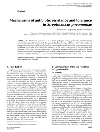 Review
Mechanisms of antibiotic resistance and tolerance
in Streptococcus pneumoniae
Emmanuelle Charpentiera
, Elaine Tuomanenb
*
a
Department of Molecular Pathogenesis, Skirball Institute of Biomolecular Medicine, New York, NY 10016, USA
b
Department of Infectious Diseases, St Jude Children’s Research Hospital, 332 N. Lauderdale St., Memphis, TN 38105, USA
ABSTRACT – Streptococcus pneumoniae is a major pathogen causing potentially life-threatening
community-acquired diseases in both the developed and developing world. Since 1967, there has been a
dramatic increase in the incidence of penicillin-resistant and multiply antibiotic-resistant pneumococci
worldwide. Prevention of access of the antibiotic to the target, inactivation of the antibiotic and
alteration of the target are mechanisms that S. pneumoniae has developed to resist antibiotics. Recent
studies on antibiotic-tolerant pneumococcal mutants permitted development of a novel model for the
control of bacterial cell death. © 2000 Éditions scientiﬁques et médicales Elsevier SAS
Streptococcus pneumoniae / antibiotic resistance / penicillin-binding proteins / antibiotic tolerance / autolysin /
signal transduction / cell death
1. Introduction
Streptococcus pneumoniae is a Gram-positive patho-
gen and is one of the most common causes of community-
acquired diseases, such as pneumonia, otitis media, sep-
ticemia, bacterial meningitis and others. The morbidity
and mortality of infections caused by S. pneumoniae
remain high despite appropriate antibiotic therapy. Since
1940, penicillin has been the drug of choice for the
treatment of pneumococcal infections. The ﬁrst clinical
isolate resistant to penicillin was described in 1967, where
it was recovered from a patient in Papua New Guinea [1].
The tremendous increase in antibiotic usage worldwide
has strongly contributed to the emergence of multidrug-
resistant pneumococci. The sentinel event in the epidemi-
ology of antibiotic-resistant pneumococci was the out-
break in 1977 in South Africa of pneumococcal diseases
caused by multidrug-resistant strains [2]. In addition to
being highly resistant to penicillin (a 1 000-fold increase
of the MIC), these strains were found to be resistant to
erythromycin, clindamycin, tetracycline and chloram-
phenicol. In this article, we review the different mecha-
nisms that have been employed by S. pneumoniae to
develop resistance against penicillins, cephalosporins,
ﬂuoroquinolones, macrolides, tetracycline, chlorampheni-
col and trimethoprim-sulfamethoxazole (table I). Recent
discoveries about pneumococcal signal transduction path-
ways involved in bacterial cell death and their role in
antibiotic tolerance will be discussed.
2. Mechanisms of antibiotic resistance
in S. pneumoniae
2.1. β-lactams
The mechanism of action of β-lactams is based on the
binding of the antibiotic to cell wall synthesizing enzymes,
the penicillin-binding proteins (PBPs), thereby interfering
with the biosynthesis and remodeling of the bacterial
peptidoglycan. Binding of β-lactams to PBPs leads to a
covalently deacylated complex removing the PBPs from
the metabolically active pool [3].
The mechanism of penicillin resistance in clinical iso-
lates of S. pneumoniae involves the alteration of PBPs so
as to reduce their affinity for the antibiotic molecule (table
I). Mutations leading to resistance to penicillin are usually
present in the transpeptidase-penicillin-binding domain
[4]. To lead to reduced affinity to penicillin, a PBP has to
acquire multiple mutations so that high-level resistance is
reached by the acquisition of more than one low-affinity
PBP variant. In pneumococcus, ﬁve PBPs of high molecu-
lar weight (PBPs 1a, 1b, 2x, 2a and 2b) and one PBP of low
molecular weight have been described [5]. Alterations in
PBP2x and PBP2b confer low-level resistance and are the
prerequisite for high-level resistance mediated by muta-
tions in other PBPs, like PBP1a [4, 6]. Resistance in many
pneumococcal clinical isolates is due to changes in only
these three PBPs. In addition to its central role in confer-
ring high-level resistance, PBP2b seems to be related to
the bacteriolytic activity of penicillins [6]. The observation
that third generation cephalosporins, another group of
β-lactam antibiotics, induce less lysis in pneumococci is
* Correspondence and reprints.
E-mail address: elaine.tuomanen@stjude.org (E. Tuomanen).
Microbes and Infection, 2, 2000, 1855−1864
© 2000 Éditions scientiﬁques et médicales Elsevier SAS. All rights reserved
S1286457900013459/REV
Microbes and Infection
2000, 1855-0
1855
 
