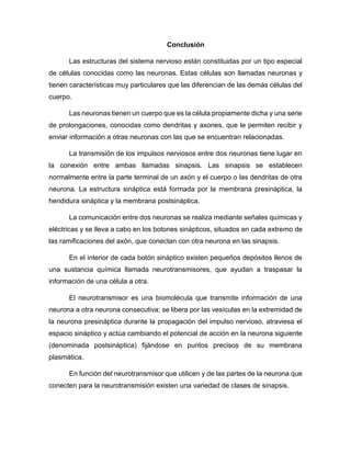 Conclusión
Las estructuras del sistema nervioso están constituidas por un tipo especial
de células conocidas como las neuronas. Estas células son llamadas neuronas y
tienen características muy particulares que las diferencian de las demás células del
cuerpo.
Las neuronas tienen un cuerpo que es la célula propiamente dicha y una serie
de prolongaciones, conocidas como dendritas y axones, que le permiten recibir y
enviar información a otras neuronas con las que se encuentran relacionadas.
La transmisión de los impulsos nerviosos entre dos neuronas tiene lugar en
la conexión entre ambas llamadas sinapsis. Las sinapsis se establecen
normalmente entre la parte terminal de un axón y el cuerpo o las dendritas de otra
neurona. La estructura sináptica está formada por la membrana presináptica, la
hendidura sináptica y la membrana postsináptica.
La comunicación entre dos neuronas se realiza mediante señales químicas y
eléctricas y se lleva a cabo en los botones sinápticos, situados en cada extremo de
las ramificaciones del axón, que conectan con otra neurona en las sinapsis.
En el interior de cada botón sináptico existen pequeños depósitos llenos de
una sustancia química llamada neurotransmisores, que ayudan a traspasar la
información de una célula a otra.
El neurotransmisor es una biomolécula que transmite información de una
neurona a otra neurona consecutiva; se libera por las vesículas en la extremidad de
la neurona presináptica durante la propagación del impulso nervioso, atraviesa el
espacio sináptico y actúa cambiando el potencial de acción en la neurona siguiente
(denominada postsináptica) fijándose en puntos precisos de su membrana
plasmática.
En función del neurotransmisor que utilicen y de las partes de la neurona que
conecten para la neurotransmisión existen una variedad de clases de sinapsis.
 