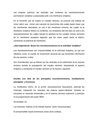 una sinapsis química), las vesículas que contienen los neurotransmisores
permanecen ancladas y preparadas junto a la membrana sináptica.
En el momento que se origina un impulsó nervioso, se produce una entrada de
iones calcio que inician una cascada de reacciones (las cuales logran hacer que
las membranas vesiculares se una a las membrana emisora, las cuales en la
hendidura sináptica liberan su contenido, los receptores del otro lado se unen a los
neurotransmisores los cuales fuerzan la apertura de los canales iónicos cercanos
de la membrana receptora logrando que los iones vayan hacia el interior,
cambiando el potencial de membrana.
¿Qué importancia tienen los neurotransmisores en la actividad sináptica?
Los neurotransmisores son imprescindibles en la actividad sináptica, ya que son
utilizados como un puente de transmisión neuronal (ya que transmiten información
de una neurona a otra).
Son biomoleculas que se liberan por las vesículas en la extremidad de la neurona
emisora durante la propagación del impulso nervioso, atravesando el espacio
sináptico y cambiando el impulso nervioso en la neurona siguiente.
Escriba una lista de los principales neurotransmisores, localizaciones
principales y funciones.
La Acetilcolina (ACh), es el primer neurotransmisor descubierto, estimula los
músculos, incluyendo los músculos del sistema gastro-intestinal. También se
encuentra en neuronas sensoriales y en el sistema nervioso autónomo, y participa
en la programación del sueño REM.
Se localizan en:
Las neuronas motoras en la médula espinal (unión neuromuscular).
El proscencéfalo basal (numerosas áreas de la corteza).
 